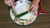 Aloe Vera Kremi Nasıl Yapılır? Doğal Aloe Vera Yaşlanma Karşıtı Nemlendirici Bakım Kremi Hazırlanışı