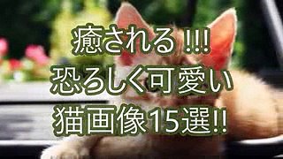 前田太司ゾクゾク動画No.55