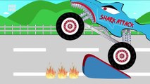 Shark Truck Stunts - Monster Truck Video for Kids - Monster Trucks for Children