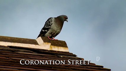 Coronation Street 30th January 2017 Part 2 (1)