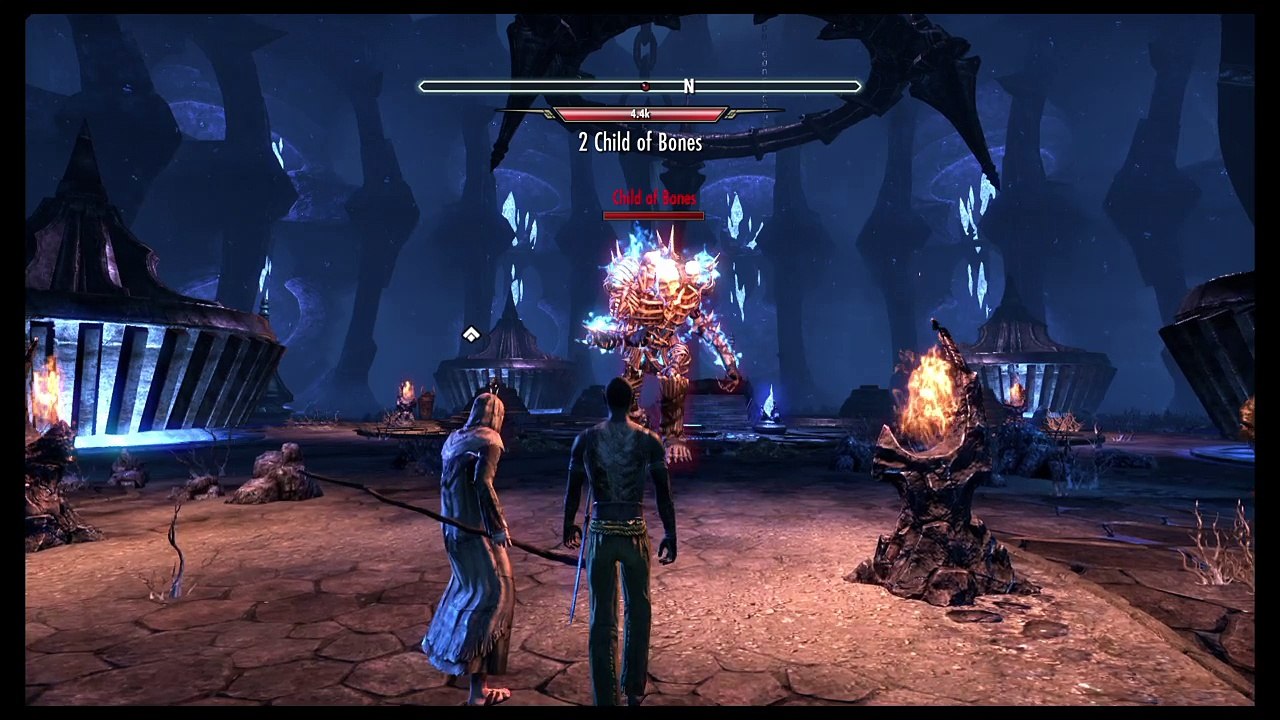 The Elder Scrolls Online