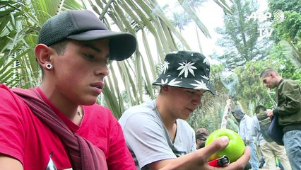 Realizan “fumatón” de marihuana en Bogotá