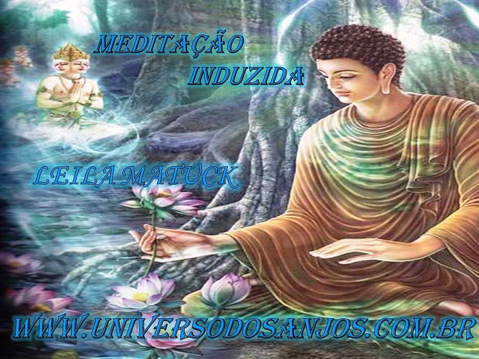 MEDITAÇÃO INDUZIDA - 101 - LEILA MATUCK