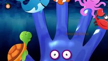 Sea Animal Finger Family Nursery Rhyme | Cartoon dolphin octopus Daddy Finger