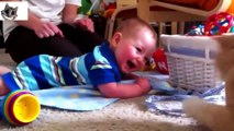 Baby Laughing Baby, Babies and Funny Kids, Funny Babies Funny Video, Funny People