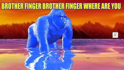 Цвета Gorilla Finger Family Rhymes Тексты песен 3D анимация Gorilla Палец семьи Song Collection для
