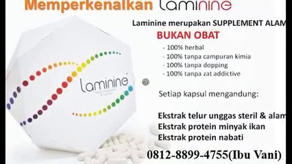Ibu Stefani 0812-8899-4755,Jual Laminine Di Bekasi,Jual Laminine Di Jakarta