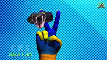 Crazy Gorilla Finger family | Nursery Rhymes for Children | Tiger Finger Family Songs