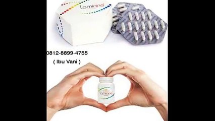 (WA) 081288994755 (Ibu Vani) Agen Laminine Jakarta, Agen Laminine Makassar