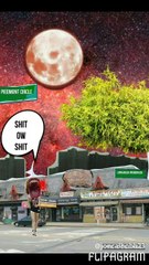 The Mother Fucker - Fuck You ( Original Speedcore Mix )