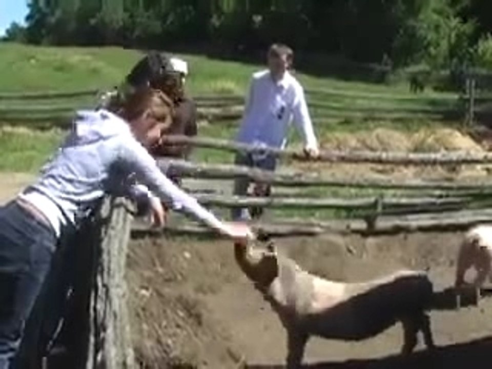 La Ferme du Parc Oméga