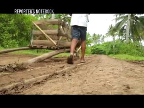 Political expert to PNoy: No improvement in PH's agricultural sector | Reporter's Notebook