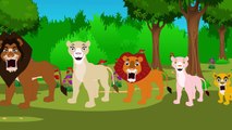 Lion King Finger Family | Lion Family Song | Finger Family Rhymes Lyrics And More