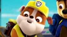 Paw Patrol Full Episodes ✦ Pups Save the Penguins - Pups Save the Parrot