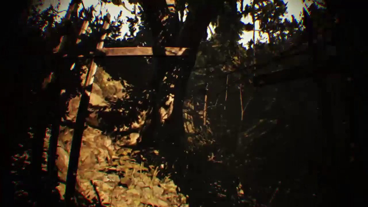 Vr experience (23)