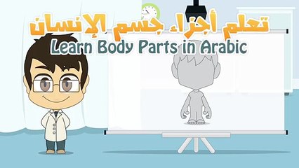 Download Video: Human Body Parts in Arabic for Kids - أجزاء جسم الإنسان باللغة العربية للأطفال