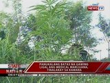SONA: Panukalang batas na gawing ligal ang medical marijuana, tinalakay sa Kamara