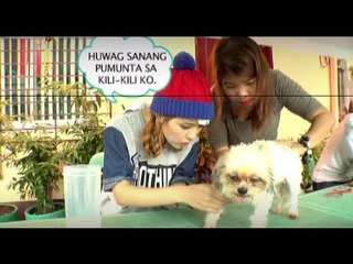 Julie and Dasuri versus ticks and parasites | Day Off