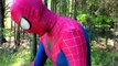 COOKIE MONSTER Beats Up SPIDERMAN for Stealing Cookies | Mascot & Superhero Adventures