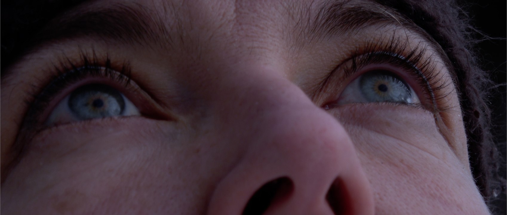 On raconte que ce sont les Cigognes qui apportent les bébés...