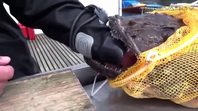 10 минут матерых Русских приколов для взрослых. Ржака подборка для мужиков! лучшие приколы