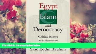 FREE [DOWNLOAD] Egypt, Islam, and Democracy: Critical Essays Saad Eddin Ibrahim Trial Ebook