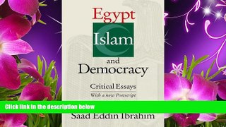 READ book Egypt, Islam, and Democracy: Critical Essays Saad Eddin Ibrahim Trial Ebook