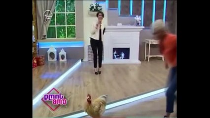 ПРИКОЛЫ ДО СЛЕЗ #18 НЕ ДЕТСКИЕ ПРИКОЛЫ 2016 ЛУЧШИЕ ДЕКАБРЬ