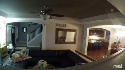 Dad Trips Over Gate On Nest Cam