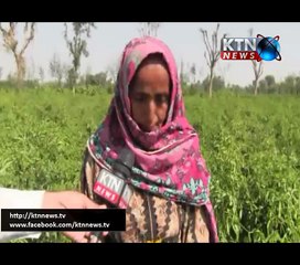 Sindh Round Up- 10 PM- 30th January 2017