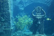 Top 10 Mysterious Underwater Anomalies