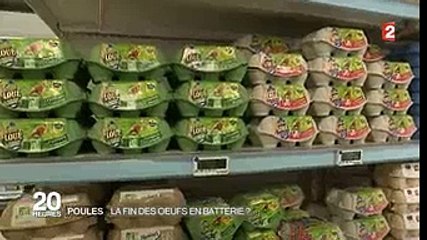Les œufs issus de poules enfermées dans cages sont dans le collimateur de la grande distribution !