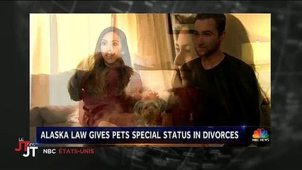 Divorce : En Alaska, le juge peut désormais décider de la garde des animaux - Vidéo