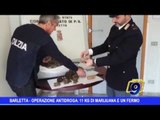 Barletta |  Operazione antidroga, sequestrati 11 kg di marijuana e un fermo