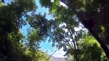Joaquim Rodriguez passe par-dessus une glissière de sécurité à la montagne.
