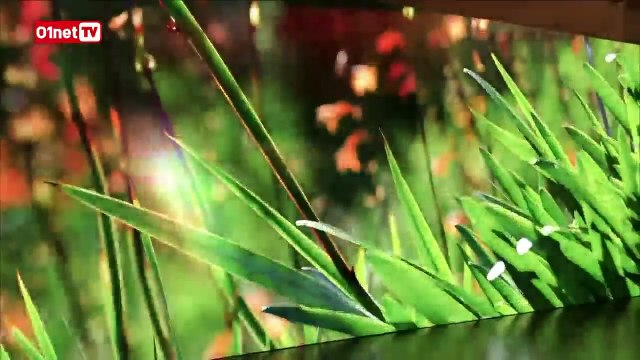 CES Las Vegas 01LIVE #3 : révolution dans la maison connectée