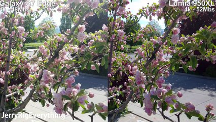 Lumia 950XL vs Galaxy S7 Video Camera Test - Side by Side