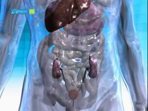 How to lower uric acid levels