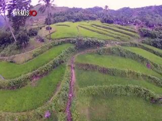 Antique Rice Terraces: Rediscovering Visayas's hidden gem | KMJS