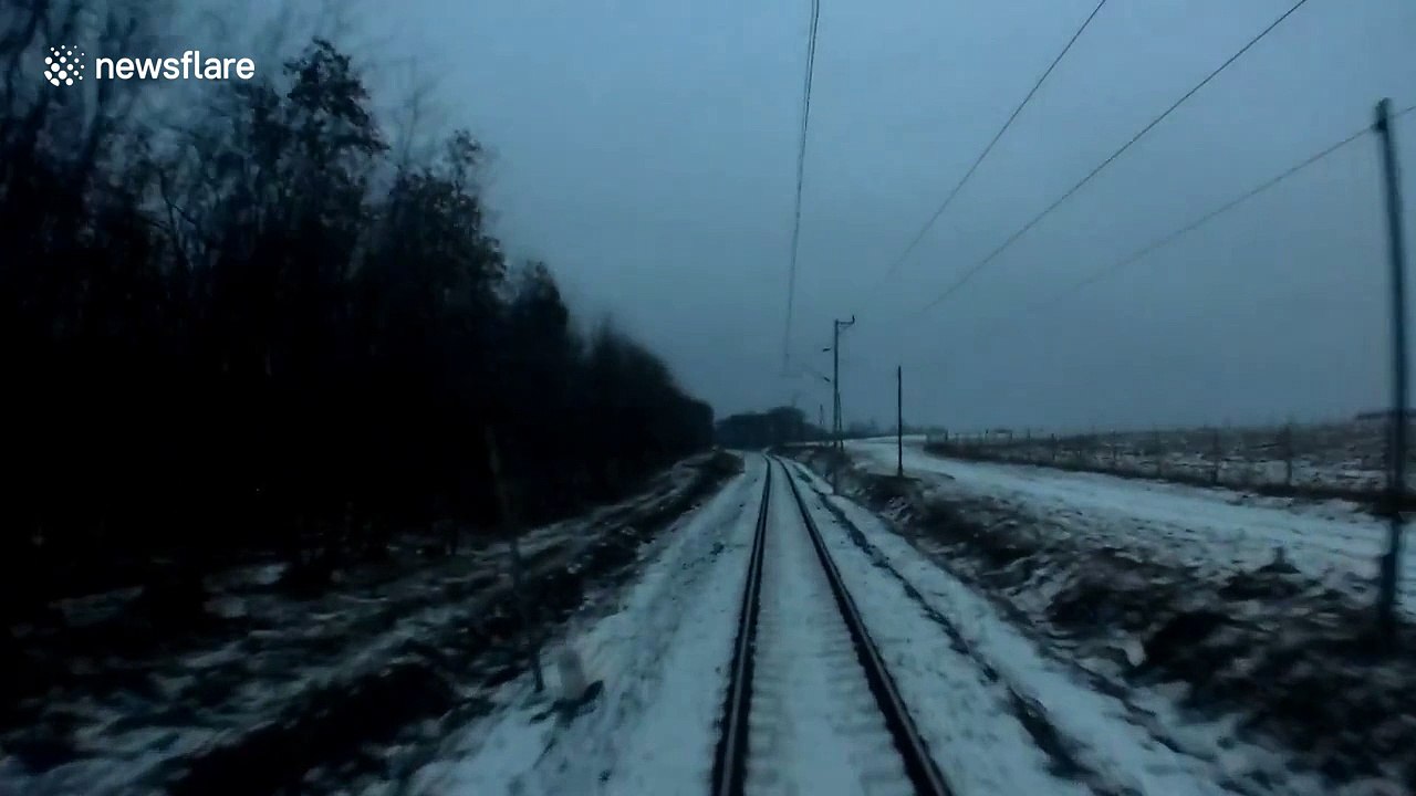 Herd of deer crossing train tracks have incredibly close shave with train (unedited version)
