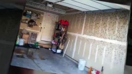 Excellent Mould Remediation North Bay Ontario Video