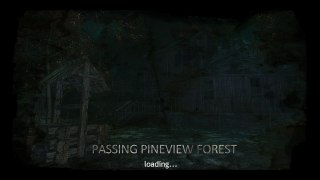 Passing Pineview Forest [ Der dunkle Weg im Kiefern Wald ]