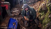 Caving experts rescue dog trapped in deep fox den
