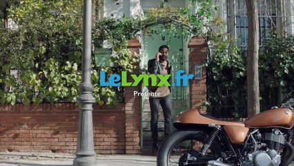 Darwin pour Lelynx.fr - «Soyez Malynx, soyez LeLynx» - janvier 2017