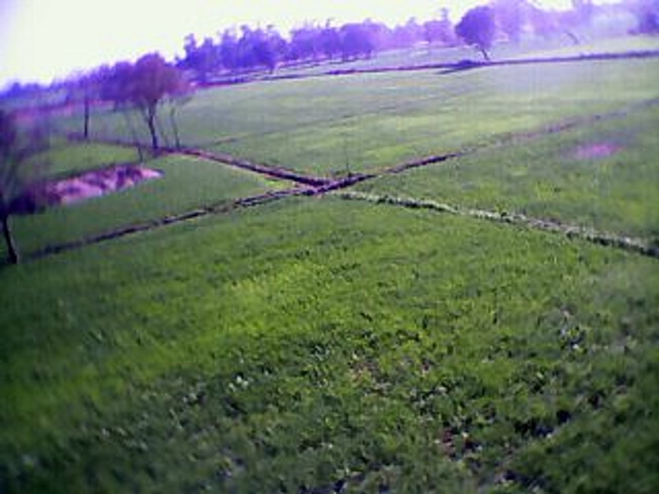 Beautiful green field