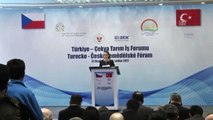 Bakan Çelik - Türkiye-Çekya Tarım Iş Forumu