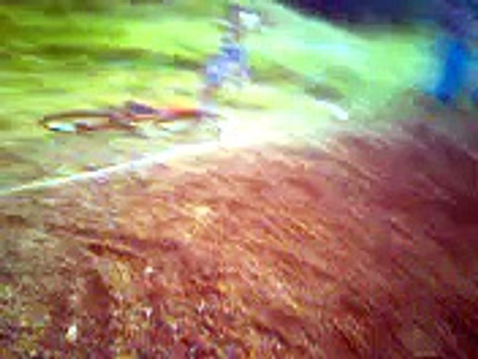 UFC - Pitangui-mg