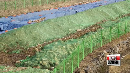 Gyeongju seeks sustainable ways to grow as city of cultural heritage