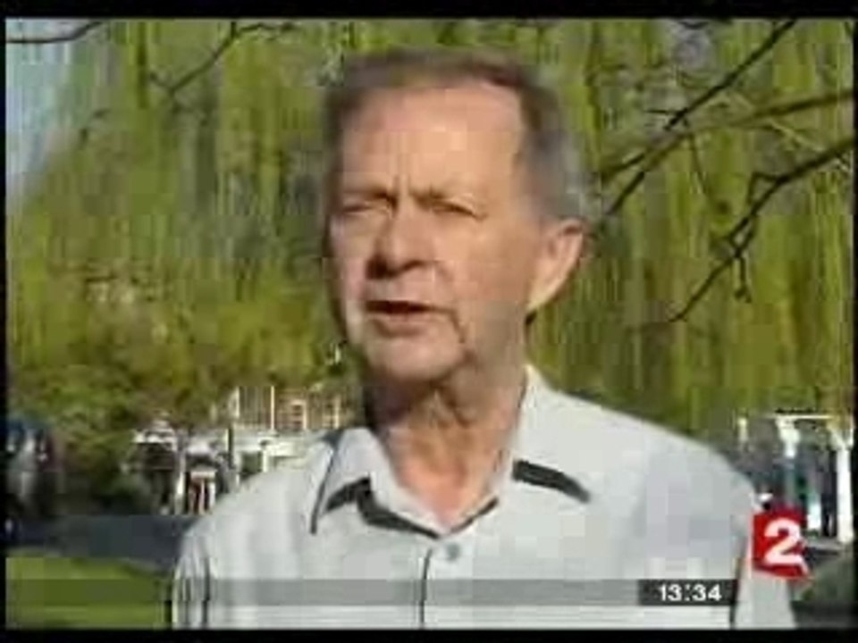 Invasion de perruche à collier