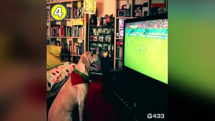 BEST SOCCER FOOTBALL VINES - GOALS, FAILS, SKILLS #36